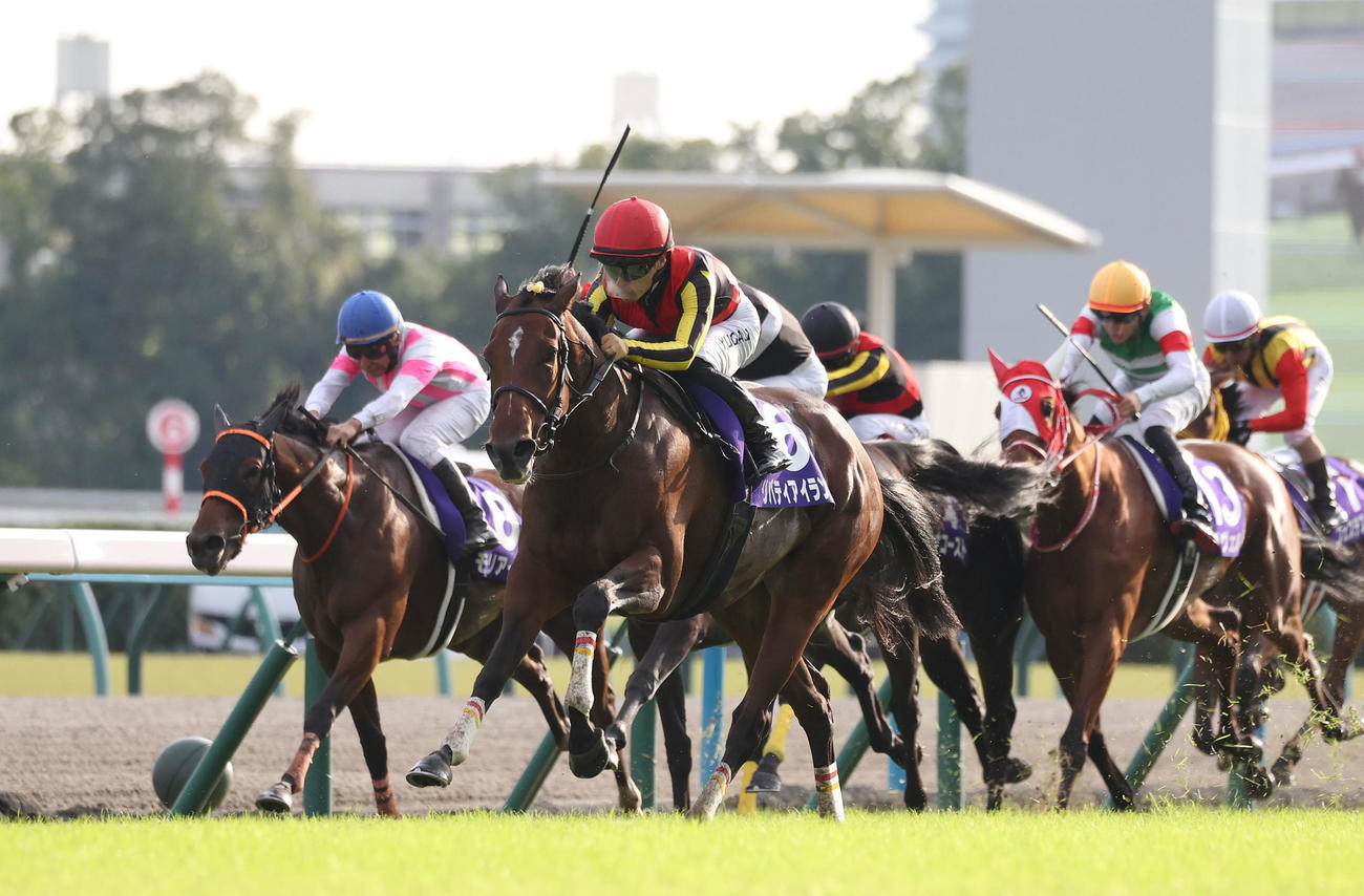 直線力強く抜け出して秋華賞を制し、牝馬3冠を達成したリバティアイランド（中央）（撮影・白石智彦）