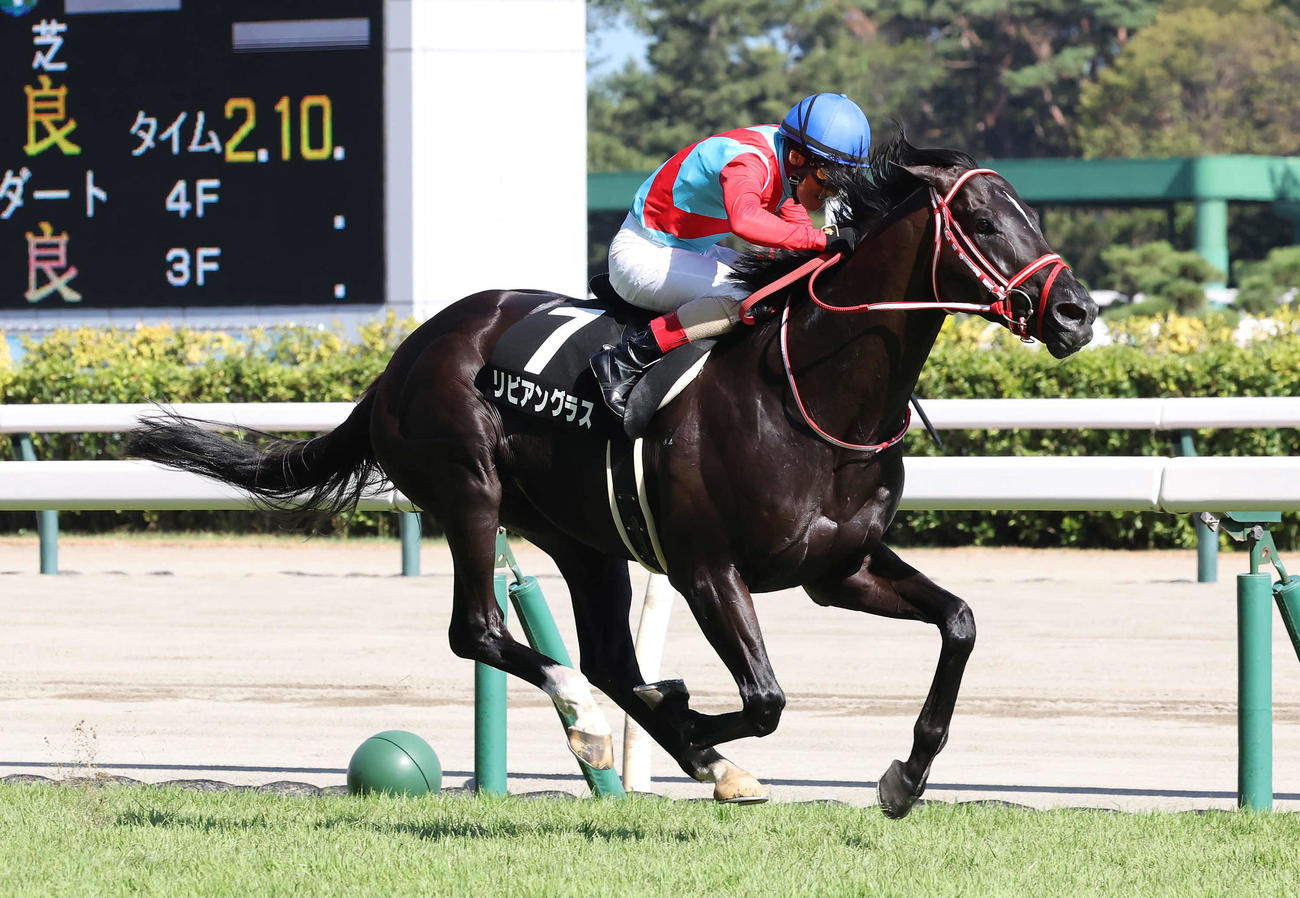 8月20日、阿賀野川特別を制したリビアングラス