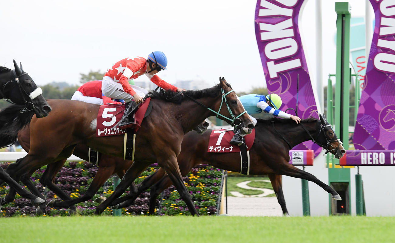 府中牝馬Sを制したディヴィーナ（右（2023年10月14日撮影）