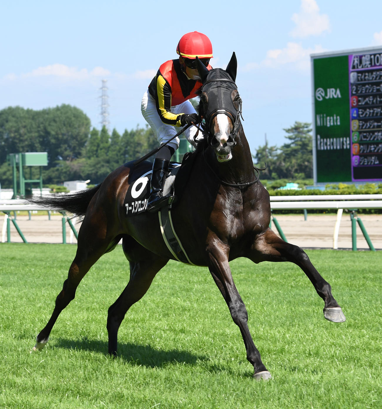 アースクロニクル（2023年7月29日撮影）