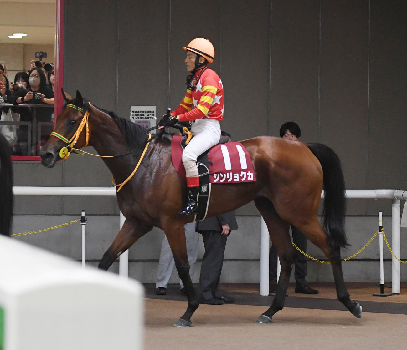 東京11R、府中牝馬Sで10着のシンリョクカと吉田豊騎手（2023年10月14日撮影）