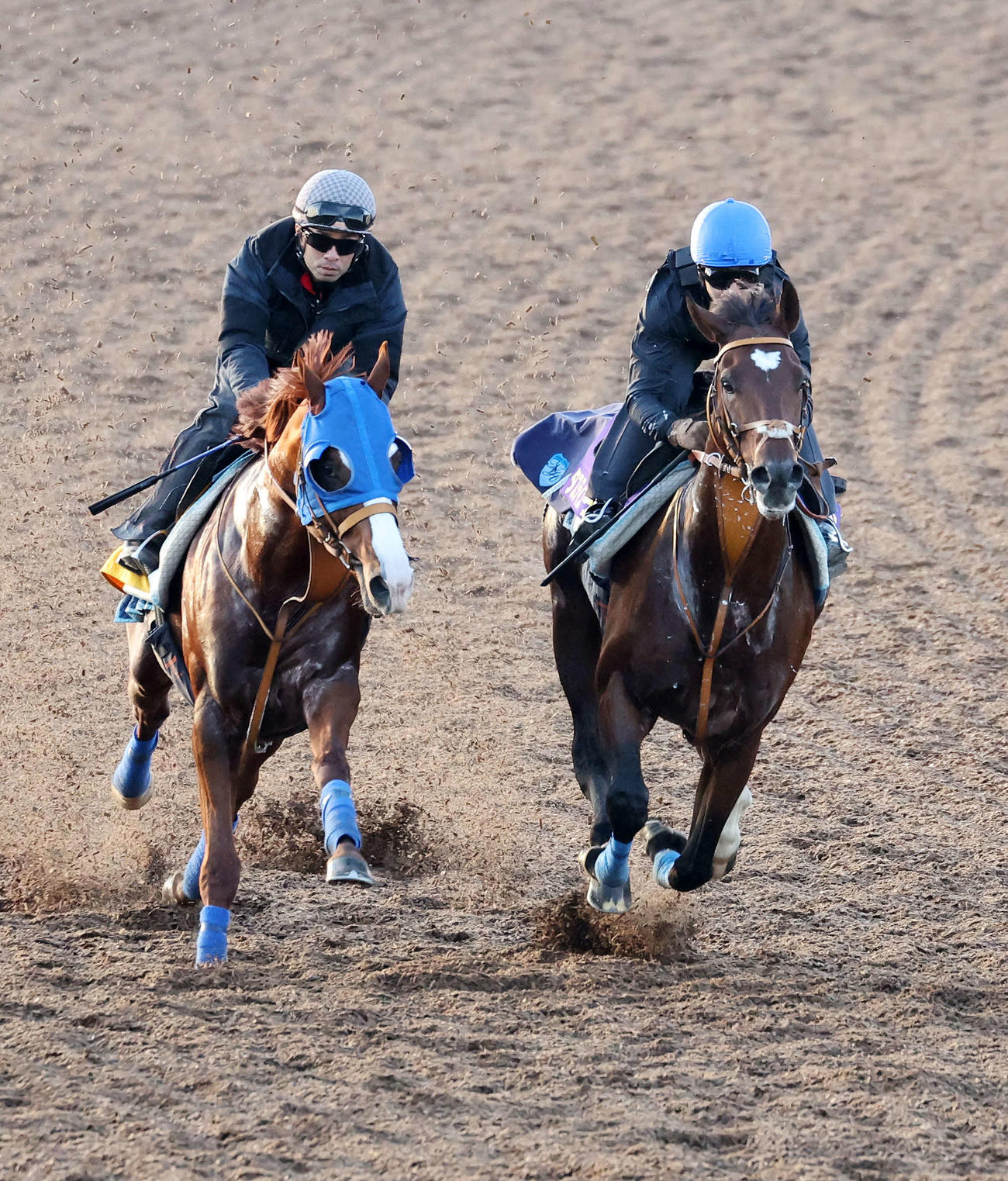 美浦ウッドで併せて追い切るタスティエーラ（右）（撮影・鈴木正人）