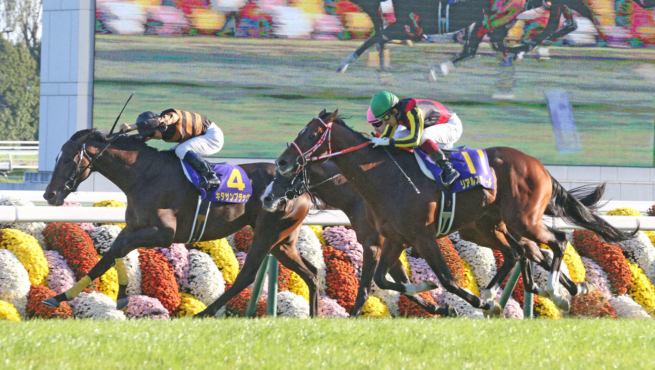 15年10月、キタサンブラックと北村宏司騎手は直線を抜け出しそのままゴール、菊花賞を制す