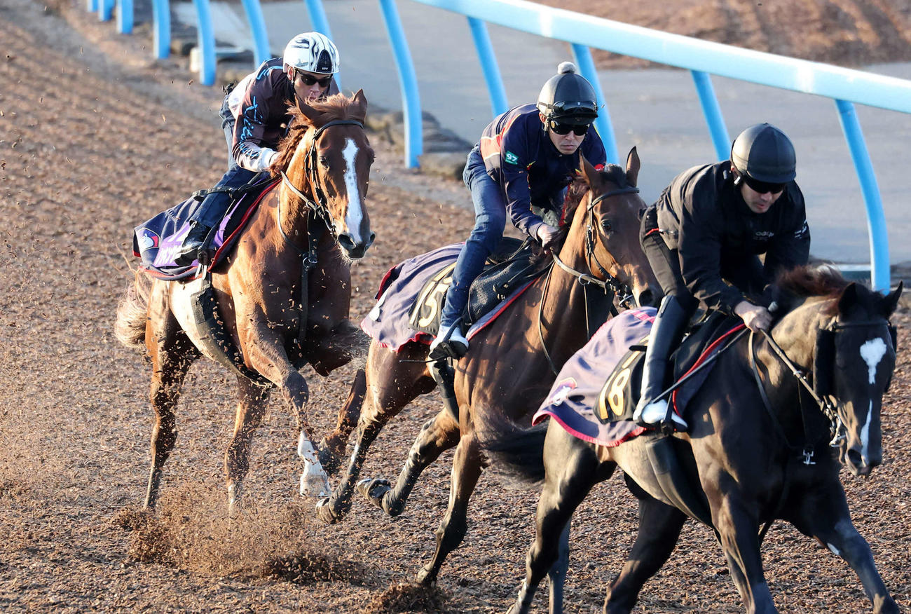 北村宏司騎手を背に美浦ウッドで3頭併せで追い切るノッキングポイント（左）（撮影・鈴木正人）