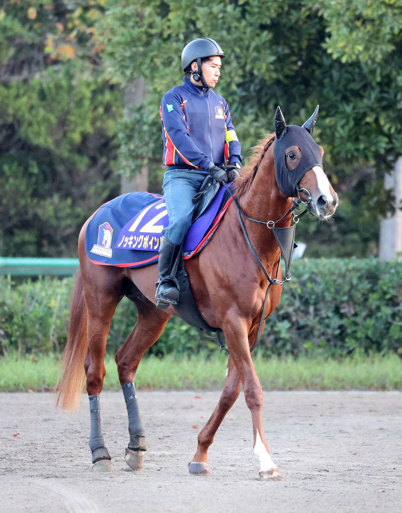 乗り運動するノッキングポイント（撮影・鈴木正人）