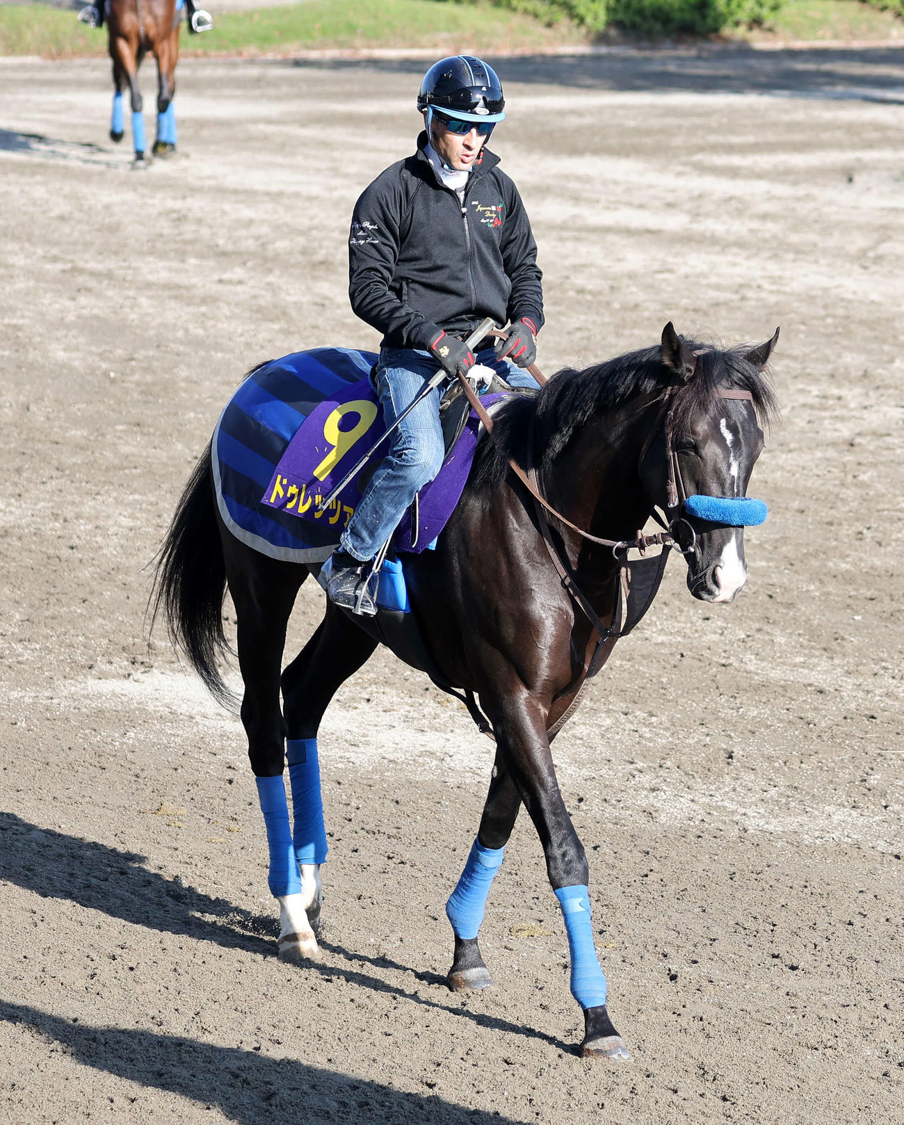 C・ルメール騎手を背に乗り運動するドゥレッツァ（撮影・鈴木正人）
