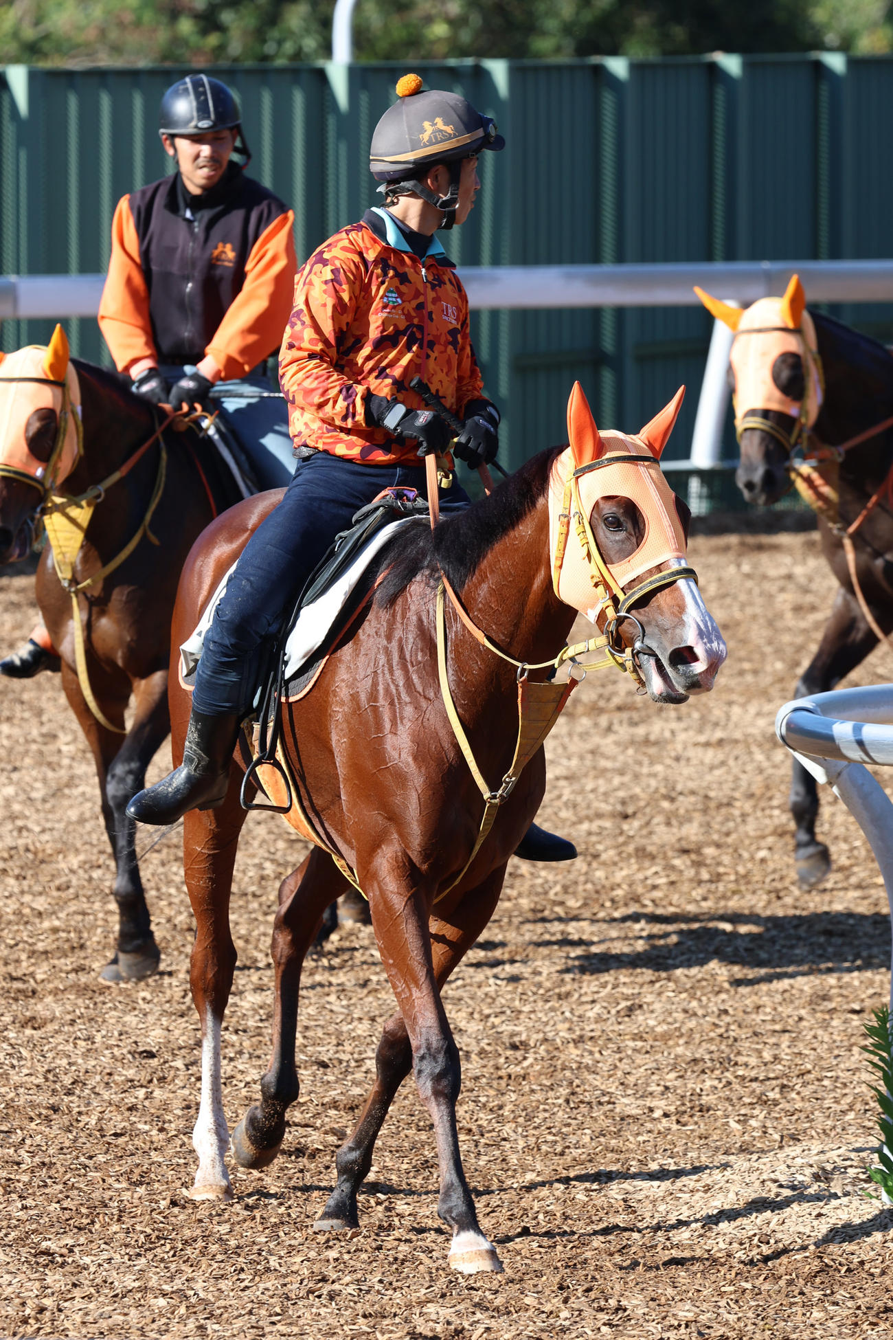 追い切り後、角馬場で息を整えるナミュール