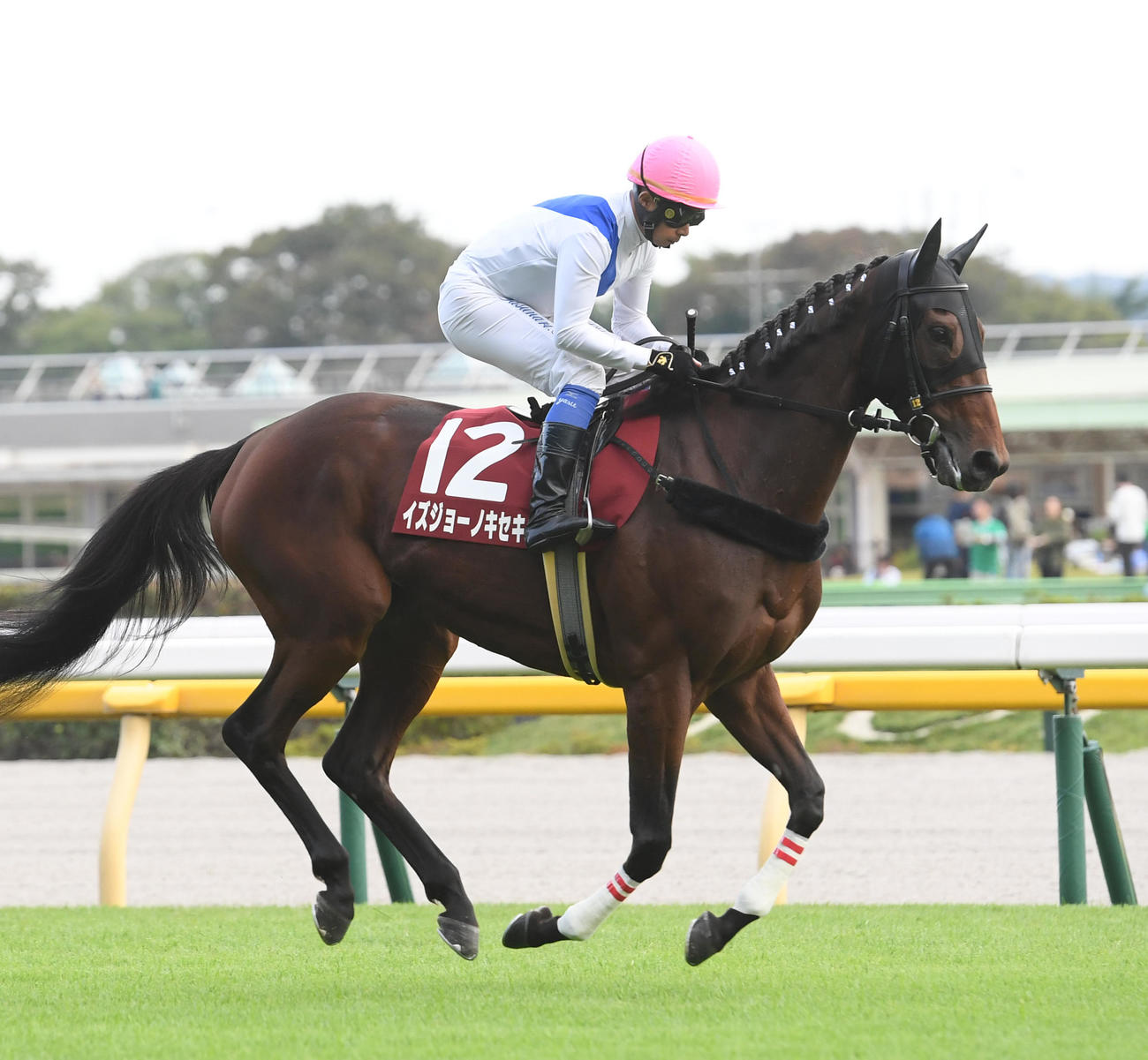 14日、府中牝馬S9着に敗れたイズジョーノキセキ