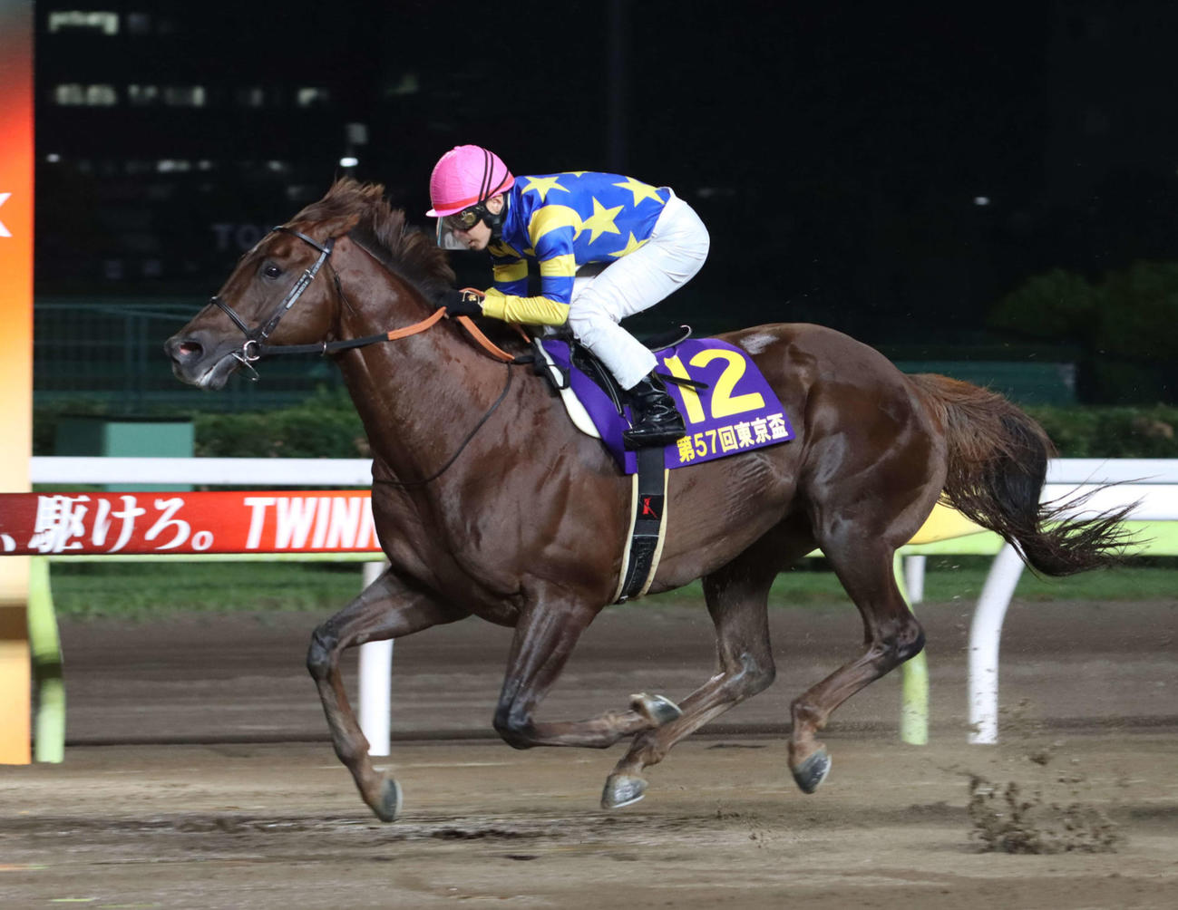 4日、東京盃を制したドンフランキー