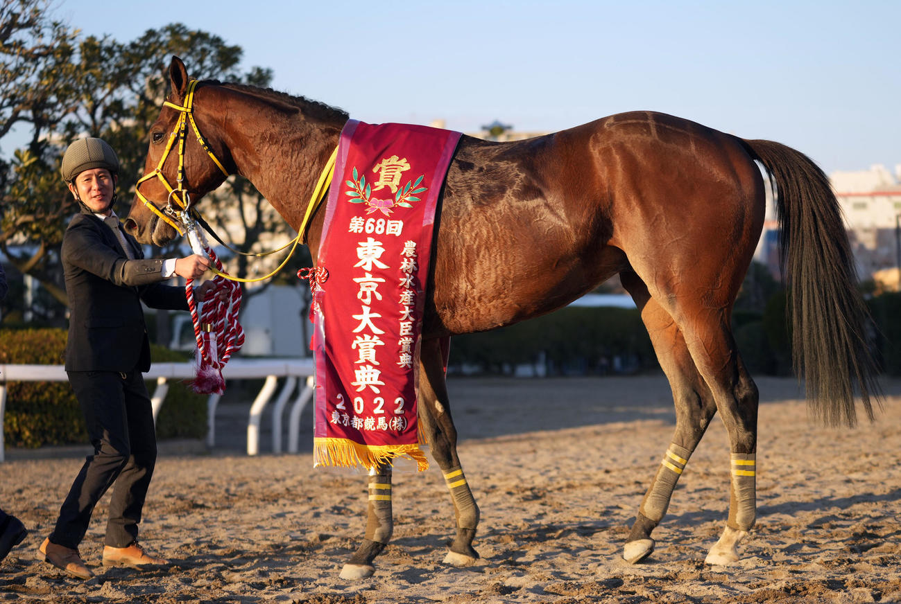 東京大賞典を制したウシュバテソーロ（2022年12月29日撮影）