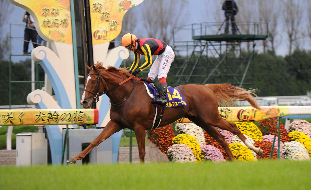 第72回菊花賞を制したオルフェーヴル（2011年10月23日撮影）