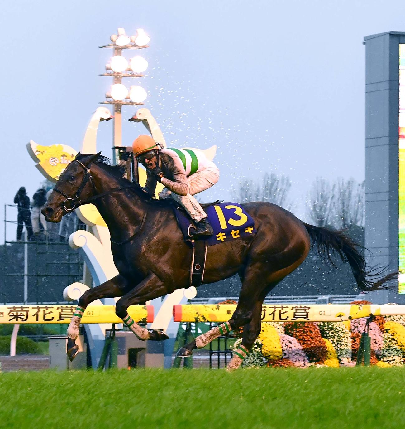 キセキで菊花賞を制し、鞍上でガッツポーズするM・デムーロ騎手（2017年10月22日撮影）