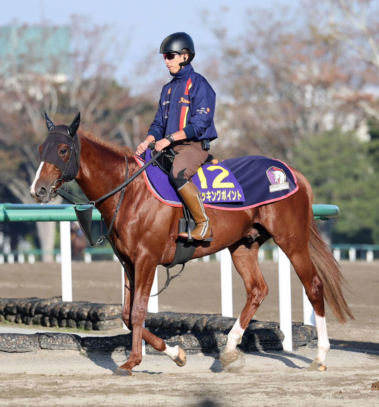 乗り運動するノッキングポイント（撮影・鈴木正人）