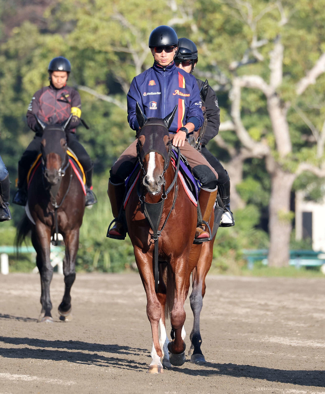 乗り運動するノッキングポイント（撮影・鈴木正人）