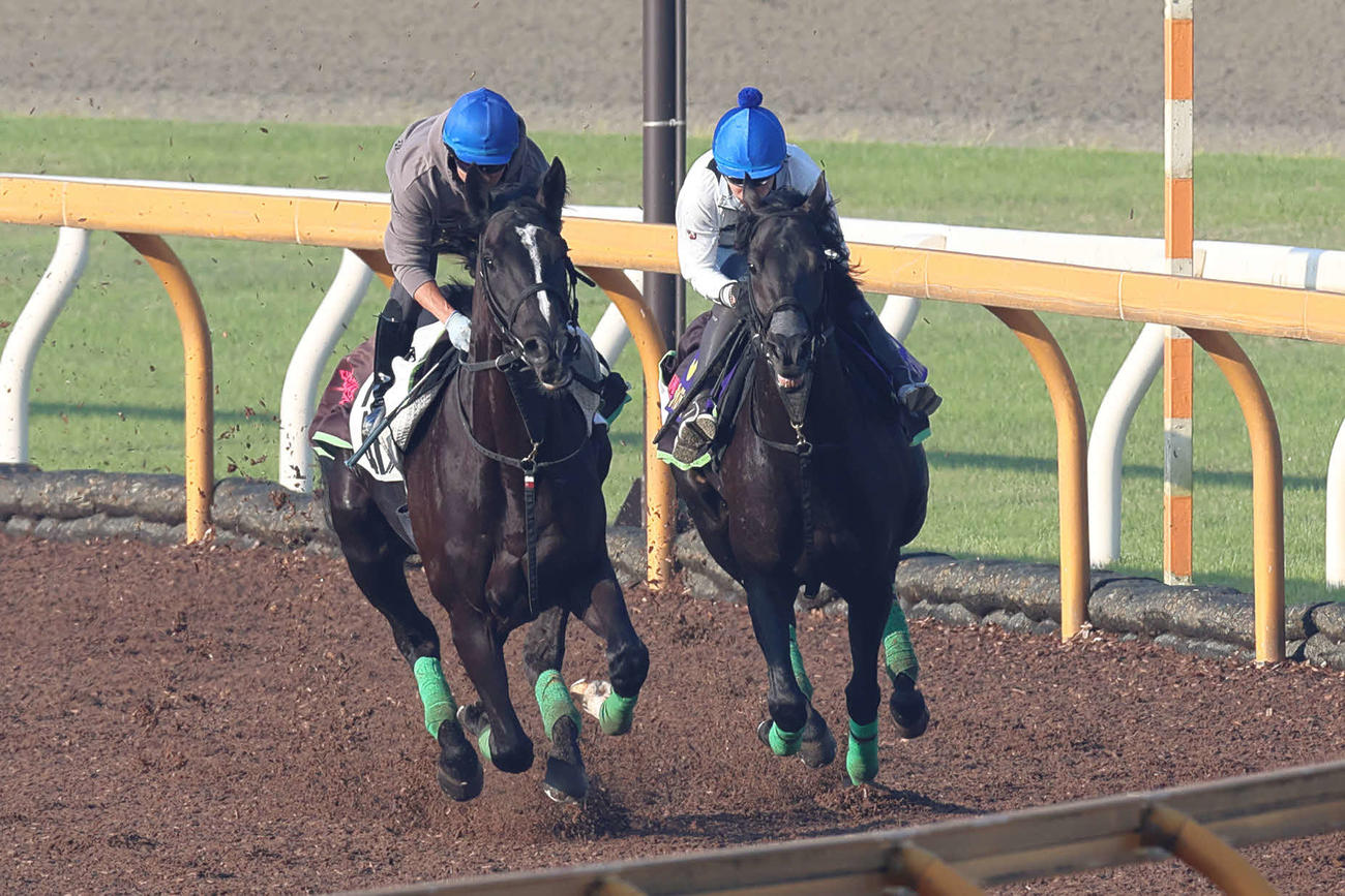 ジャスティンパレス（右）は横山武騎手が騎乗し、フルングニルと併せて追い切る