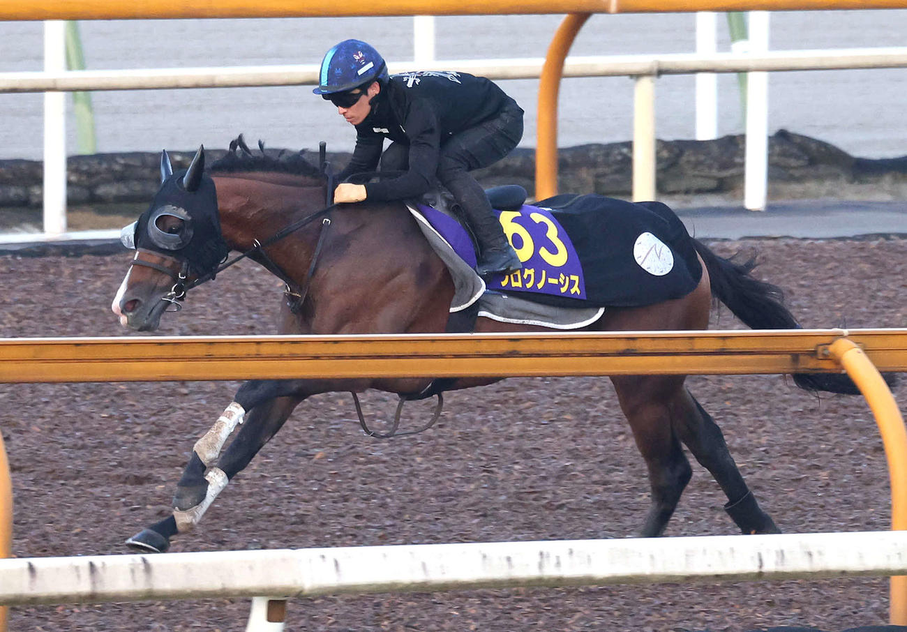 川田騎手を背にCウッドを併せ馬で追い切るプログノーシス（撮影・白石智彦）