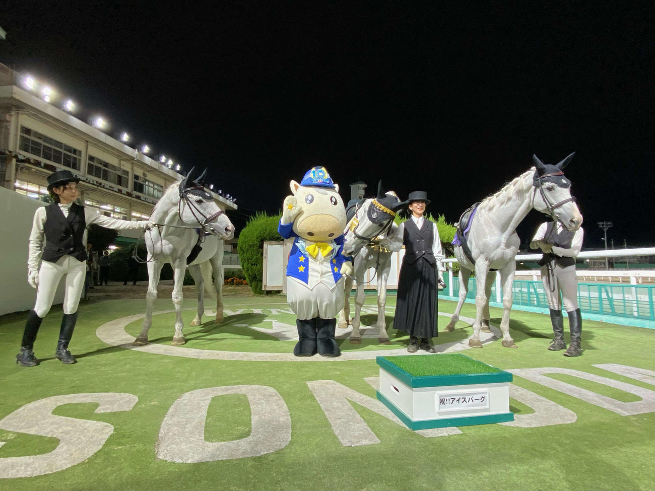 誘導馬最高齢誘導記録を更新したアイスバーグ（中央）。左はストラディヴァリオ、右はメイショウシャーク