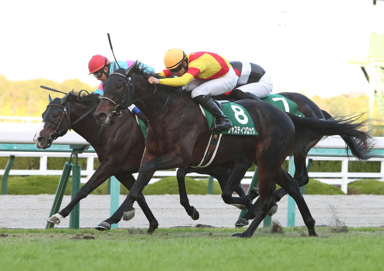 21年11月21日、京都2歳Sを制したジャスティンロック（中央）