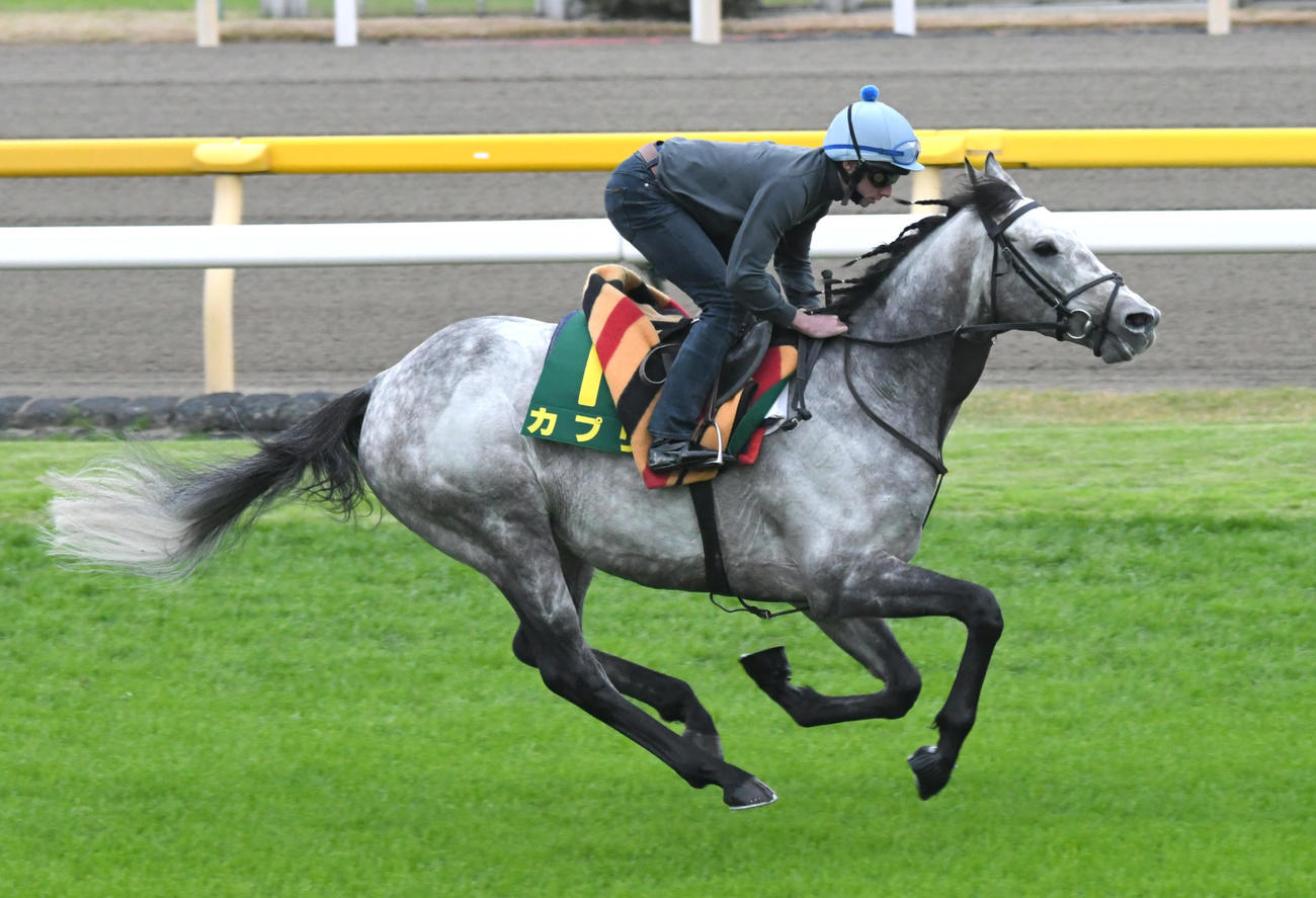 カプリ（2018年11月22日撮影）