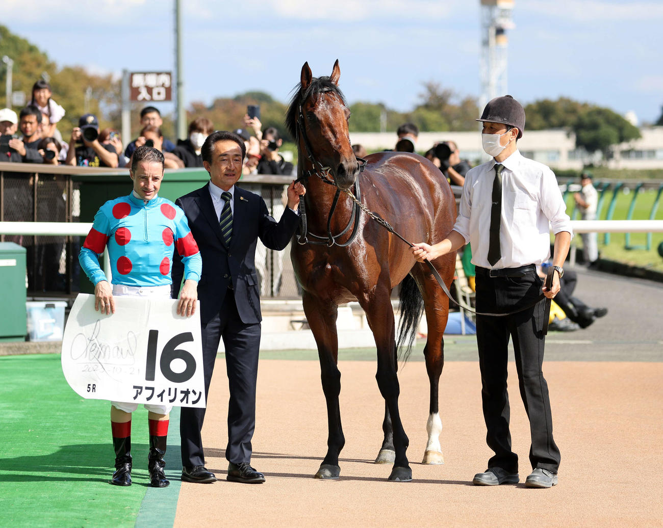 メイクデビュー東京を制したアフィリオンとC・ルメール騎手（撮影・鈴木正人）