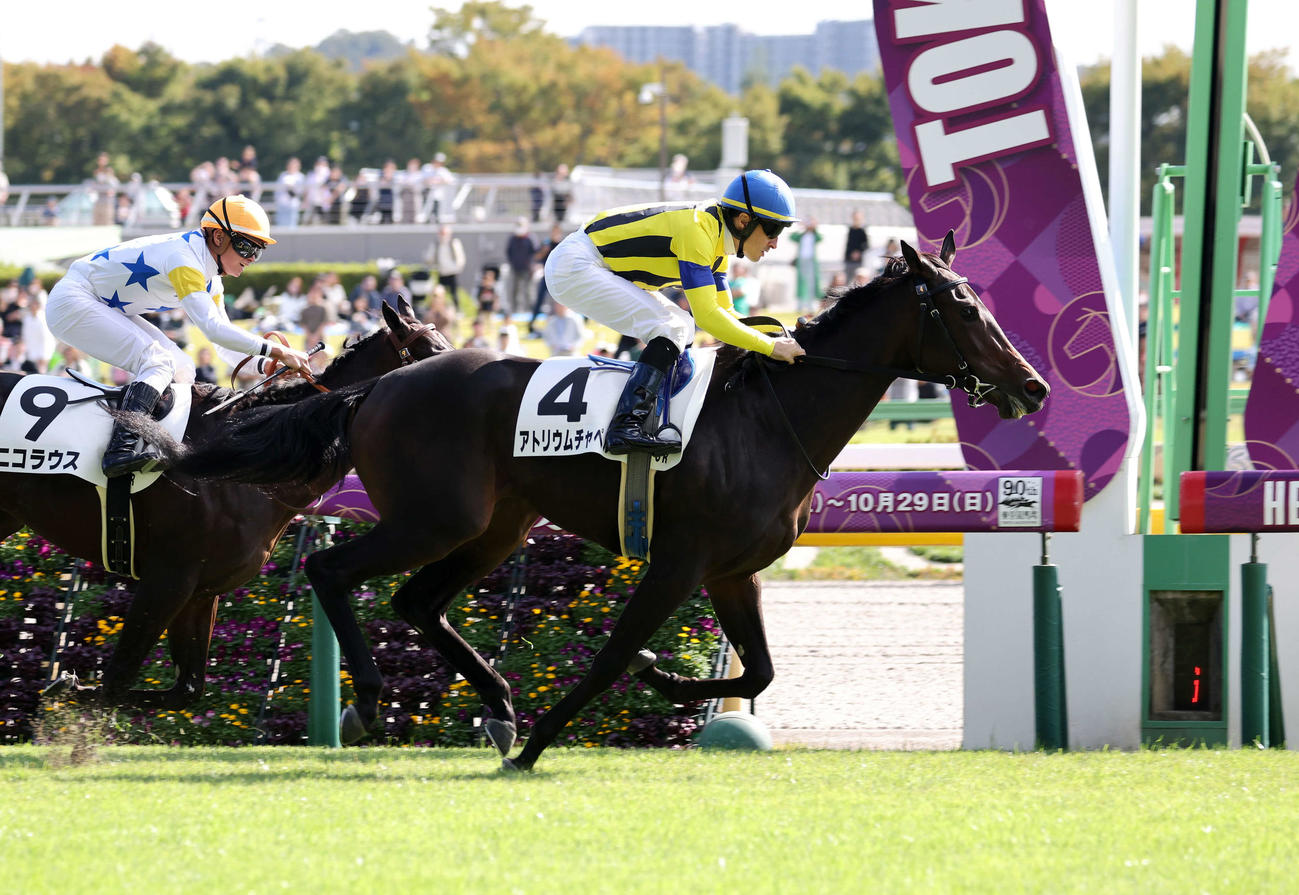 東京6R新馬戦を制したアトリウムチャペルとルメール騎手（撮影・鈴木正人）