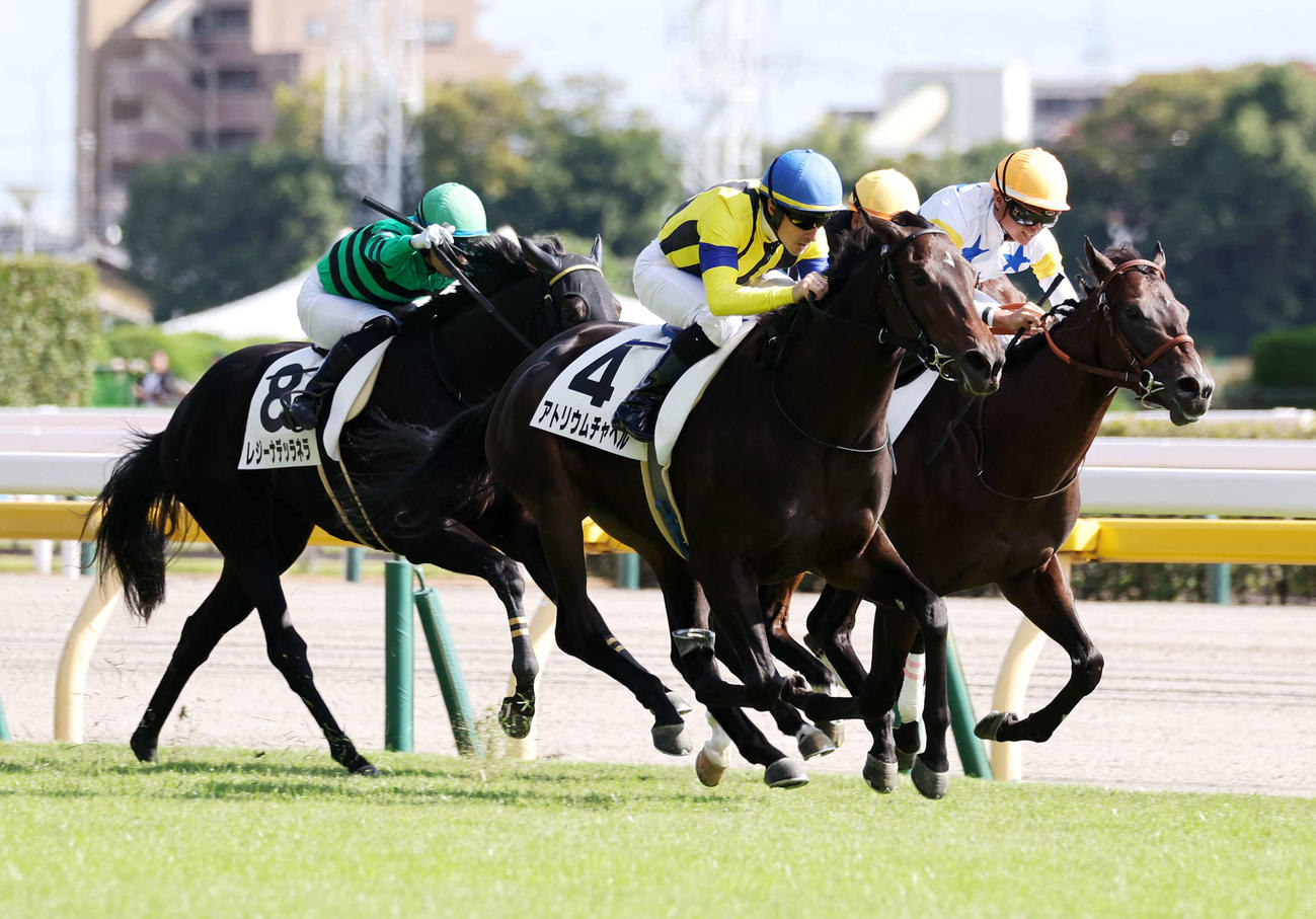 東京6R新馬戦を制したアトリウムチャペル（中央）とルメール騎手（撮影・鈴木正人）