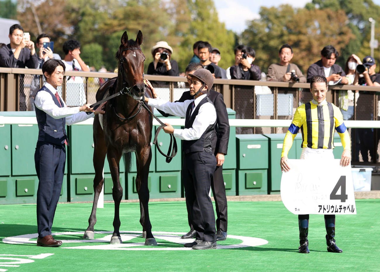 東京6R新馬戦を制したアトリウムチャペルとルメール騎手（撮影・鈴木正人）