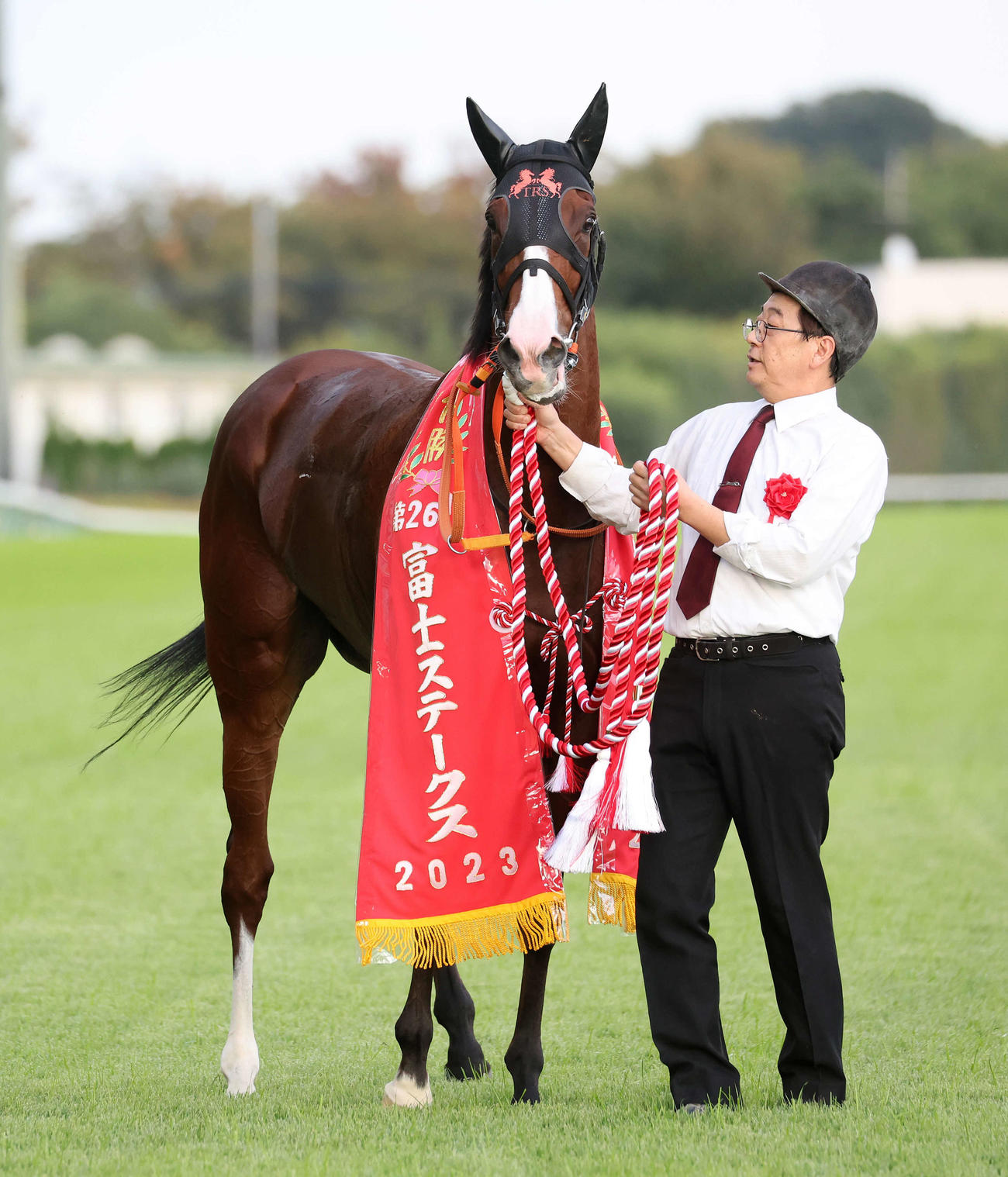 富士Sを制したナミュール（撮影・鈴木正人）