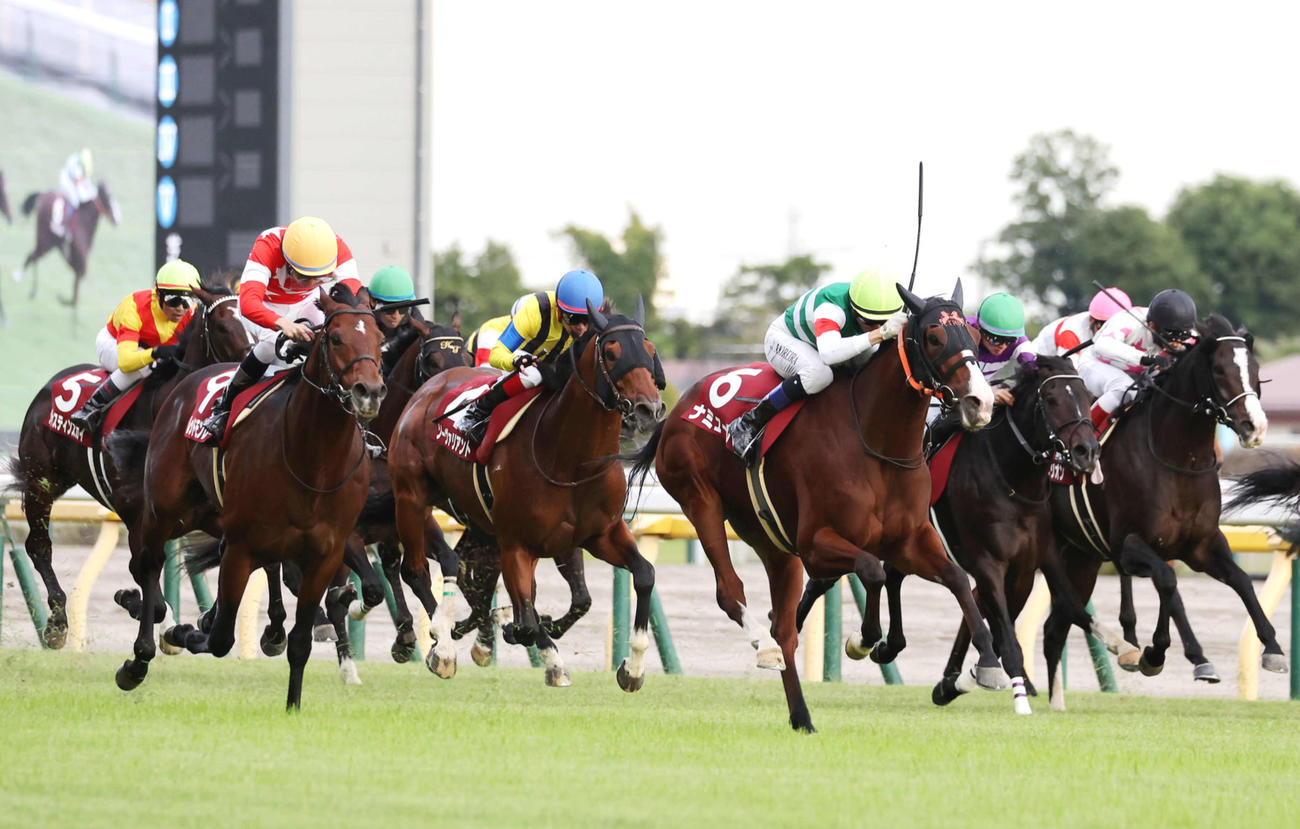 富士S2着に入ったレッドモンレーヴ（左）。右から3頭目は勝ったナミュール（撮影・鈴木正人）