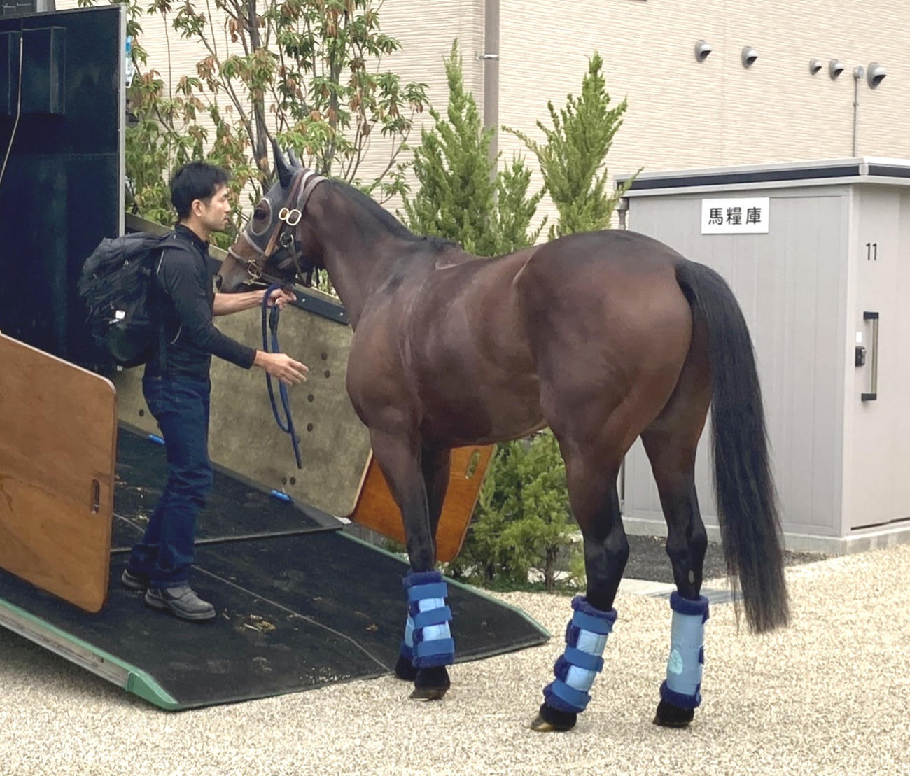 10月20日、京都競馬場に到着したタスティエーラ
