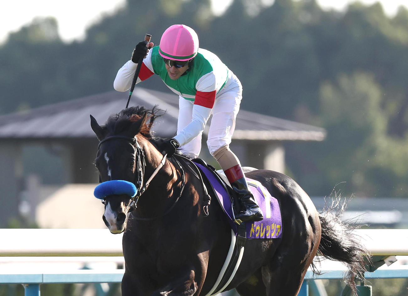5連勝で菊花賞を制したドゥレッツァ。鞍上のC・ルメール騎手はガッツポーズを見せる（撮影・白石智彦）