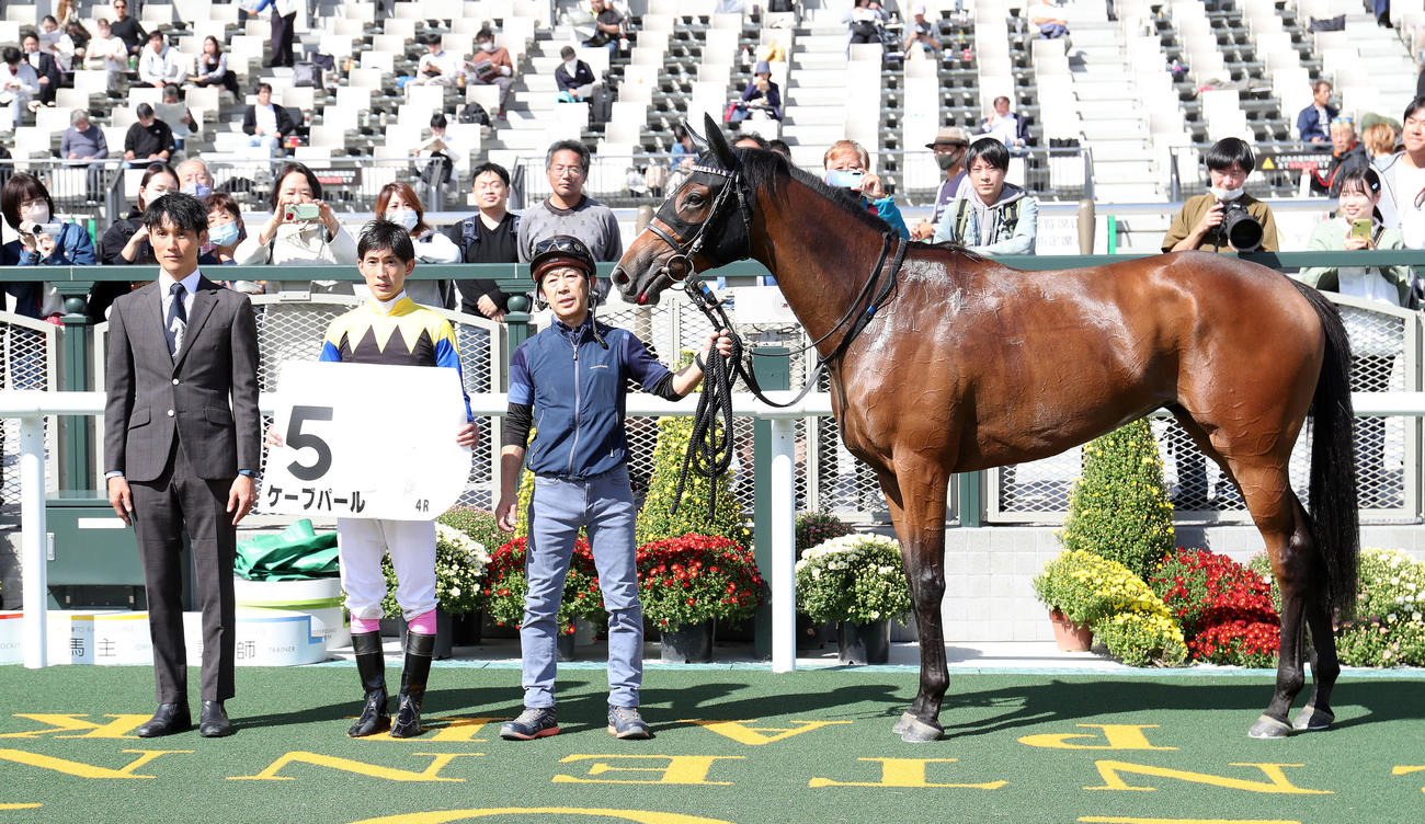 京都4R、新馬戦を制したケーブパールと口取りに並ぶ藤岡康騎手（中央）（撮影・白石智彦）