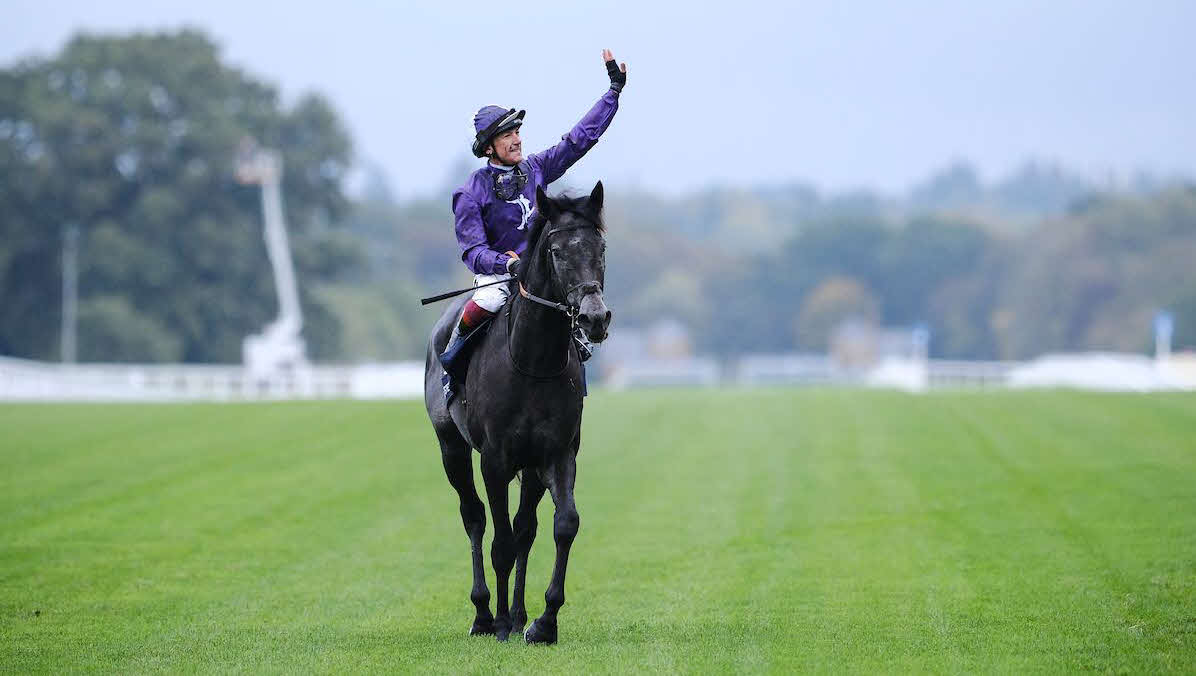 英チャンピオンSを制したランフランコ・デットーリ騎手とキングオブスティール（C）Megan Rose Photography