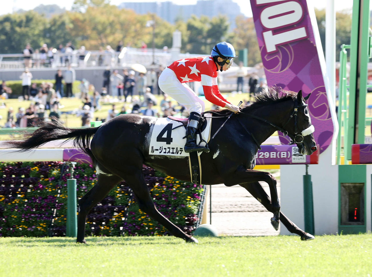 東京6R・2歳1勝クラスを制したルージュスエルテと横山和生騎手（撮影・鈴木正人）