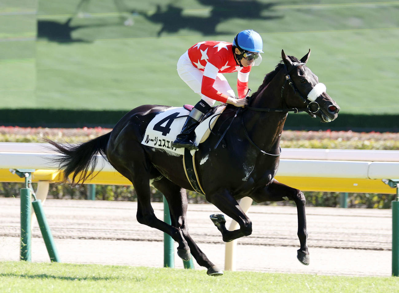 東京6R・2歳1勝クラスを制したルージュスエルテと横山和生騎手（撮影・鈴木正人）
