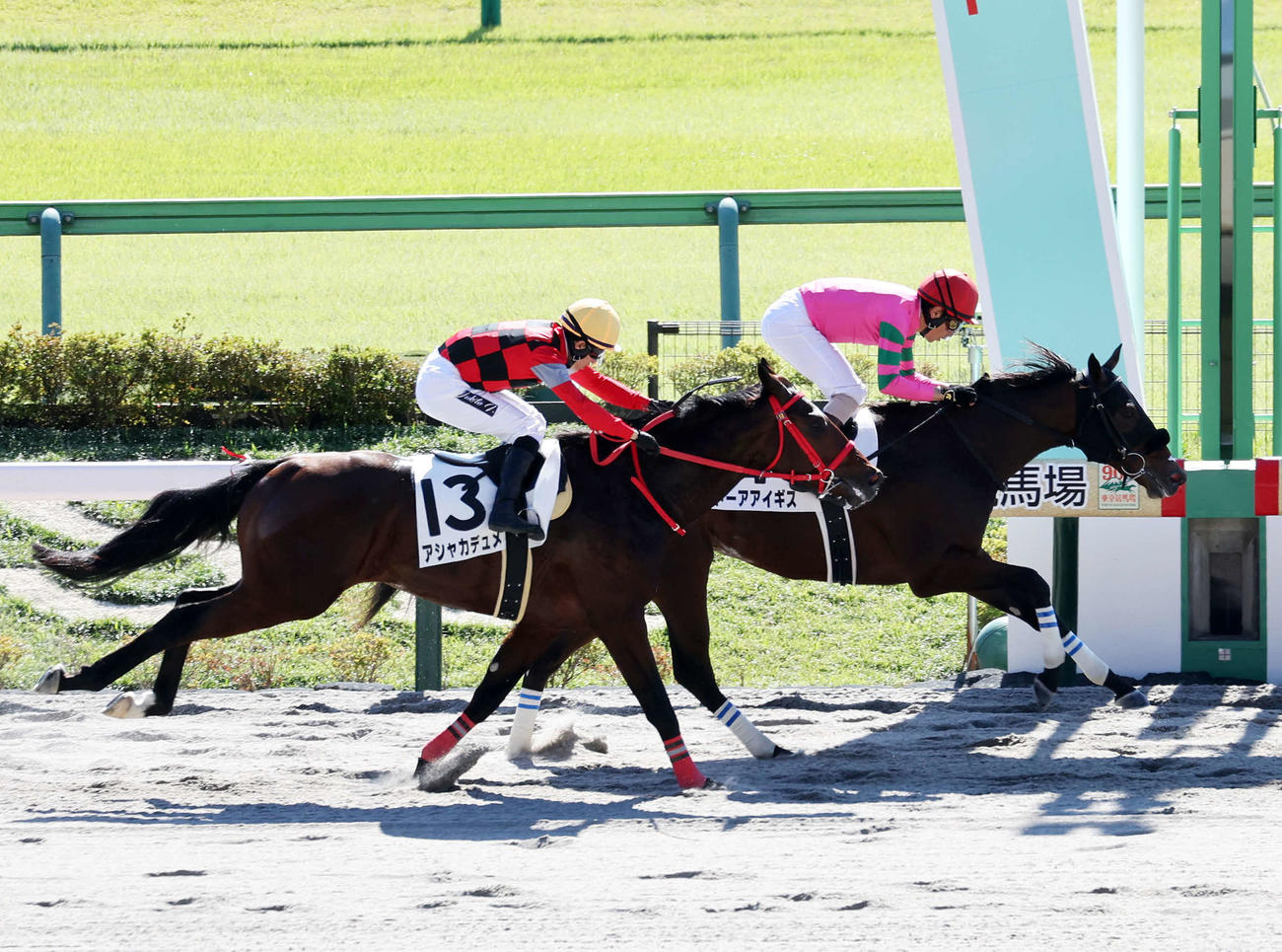 東京4R新馬戦を制したトーアアイギス（右）と勝浦正樹騎手（撮影・鈴木正人）