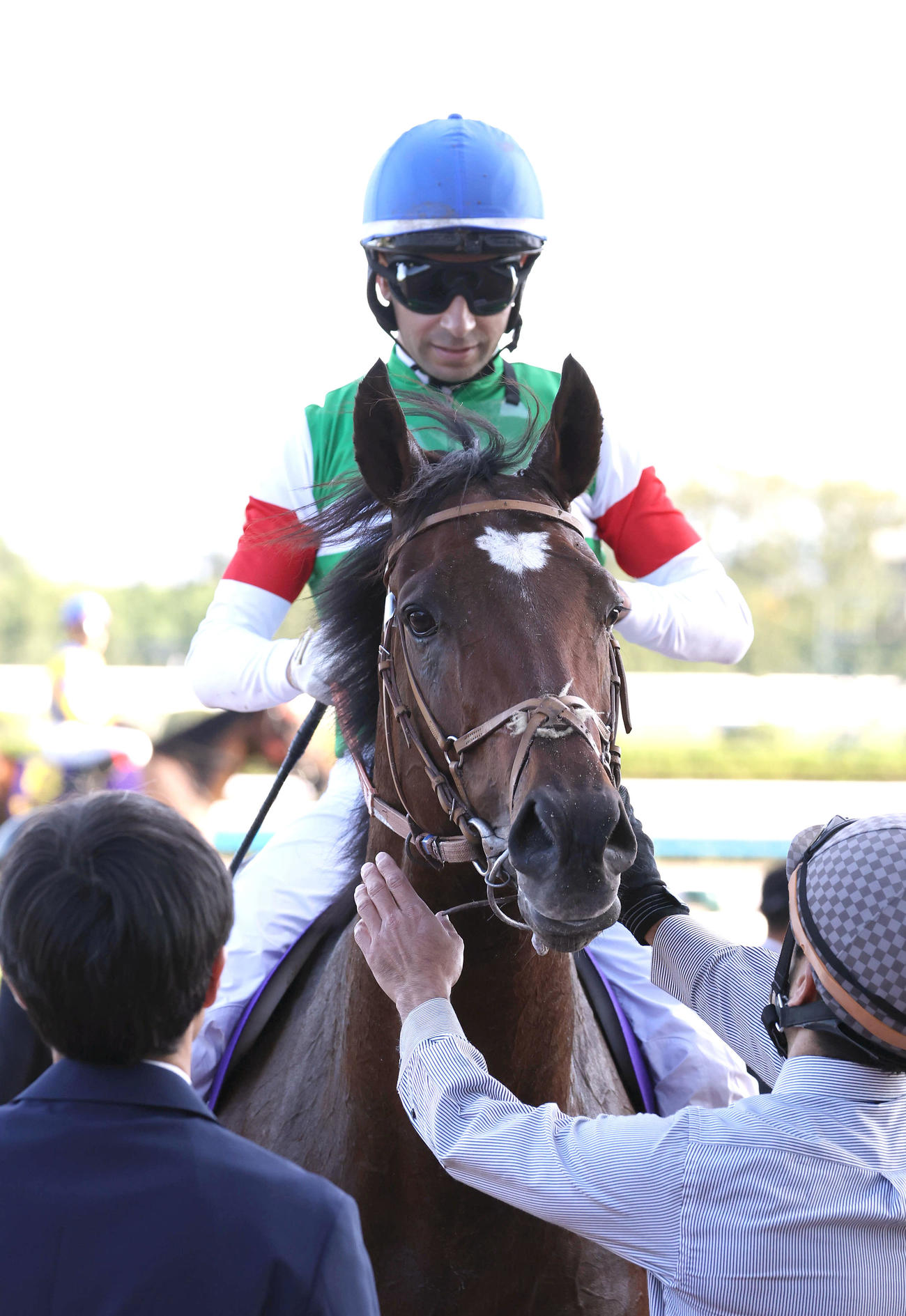 菊花賞、2着に敗れたタスティエーラ（撮影・白石智彦）