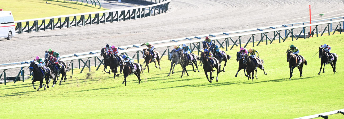 菊花賞3着に敗れたソールオリエンス（右から3頭目）。左端は勝ったドゥレッツァ