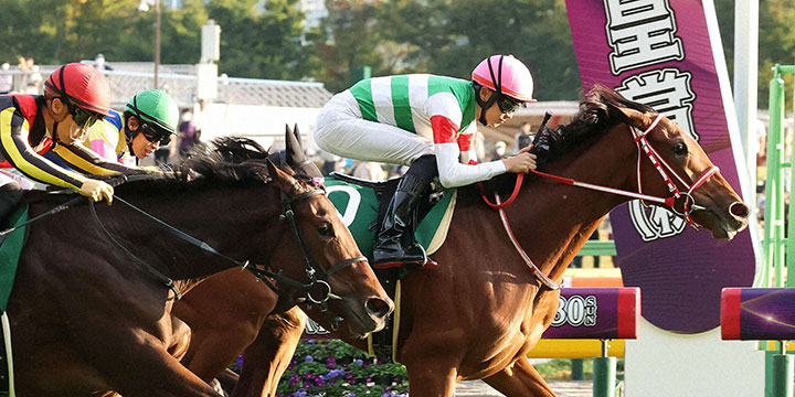 アルテミスＳを制したラヴェルと坂井騎手（撮影・丹羽敏通）＝2022年10月29日、東京競馬場