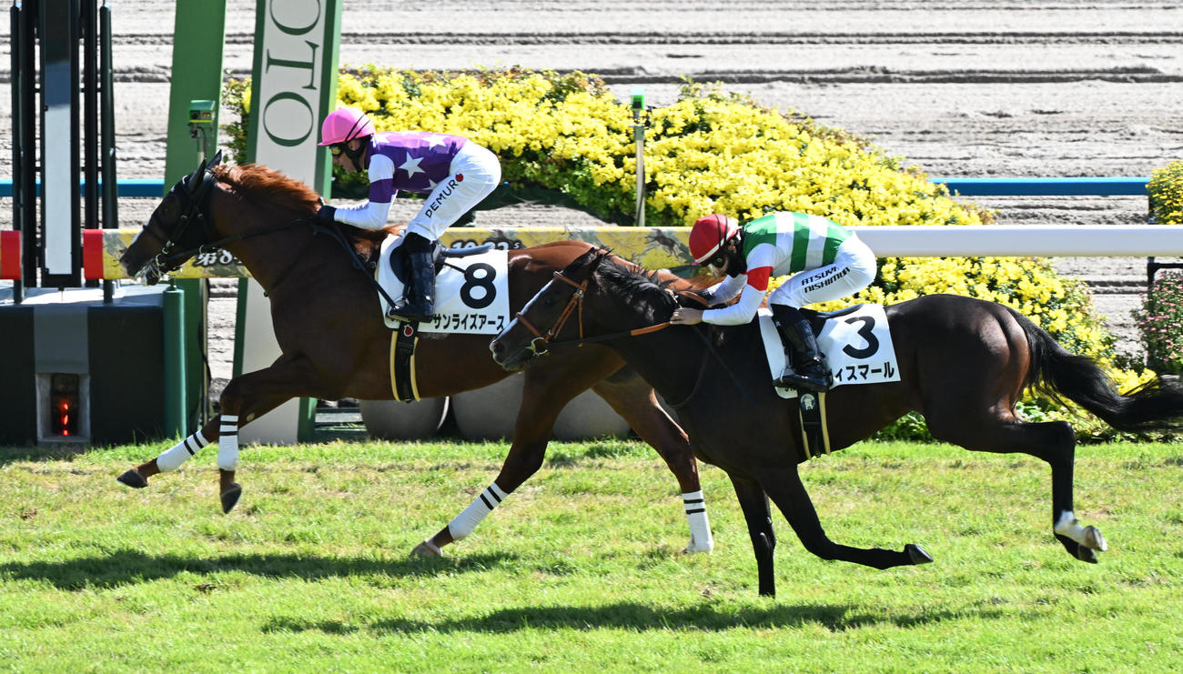 新馬戦を逃げ切ったサンライズアース、2着はヴィスマール（撮影・和賀正仁）