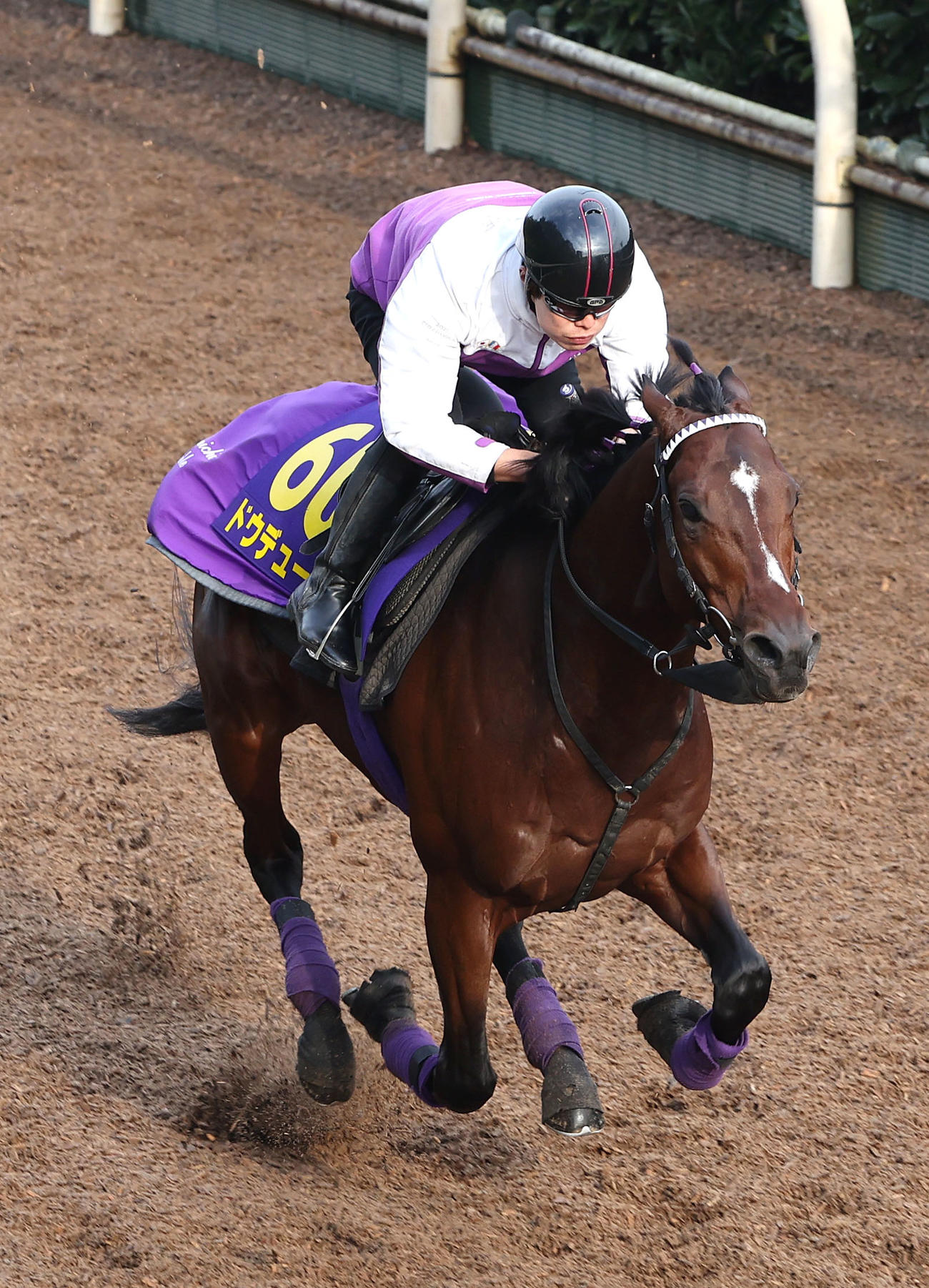 坂路を単走で追い切るドウデュース（撮影・白石智彦）