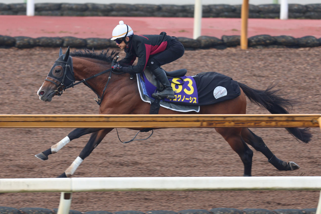 中内田調教師が騎乗し、CWコース単走で脚を伸ばしたプログノーシス