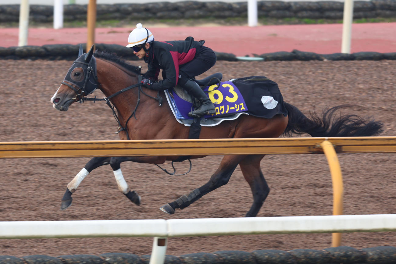 中内田調教師が騎乗し、CWコース単走で軽快な動きを見せたプログノーシス