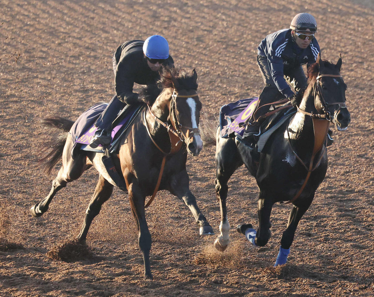 ダノンベルーガ（左）はモレイラ騎手を背に美浦ウッドでヒシイグアスと併せて追い切られた（撮影・丹羽敏通）