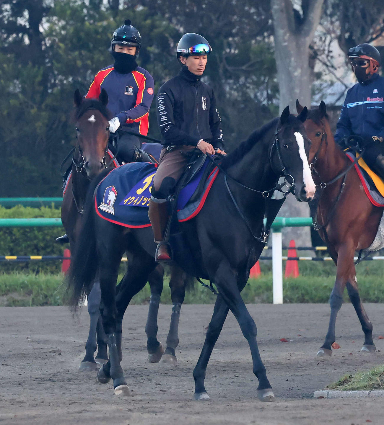 輪乗りをして馬場の開門を待つイクイノックス（撮影・丹羽敏通）