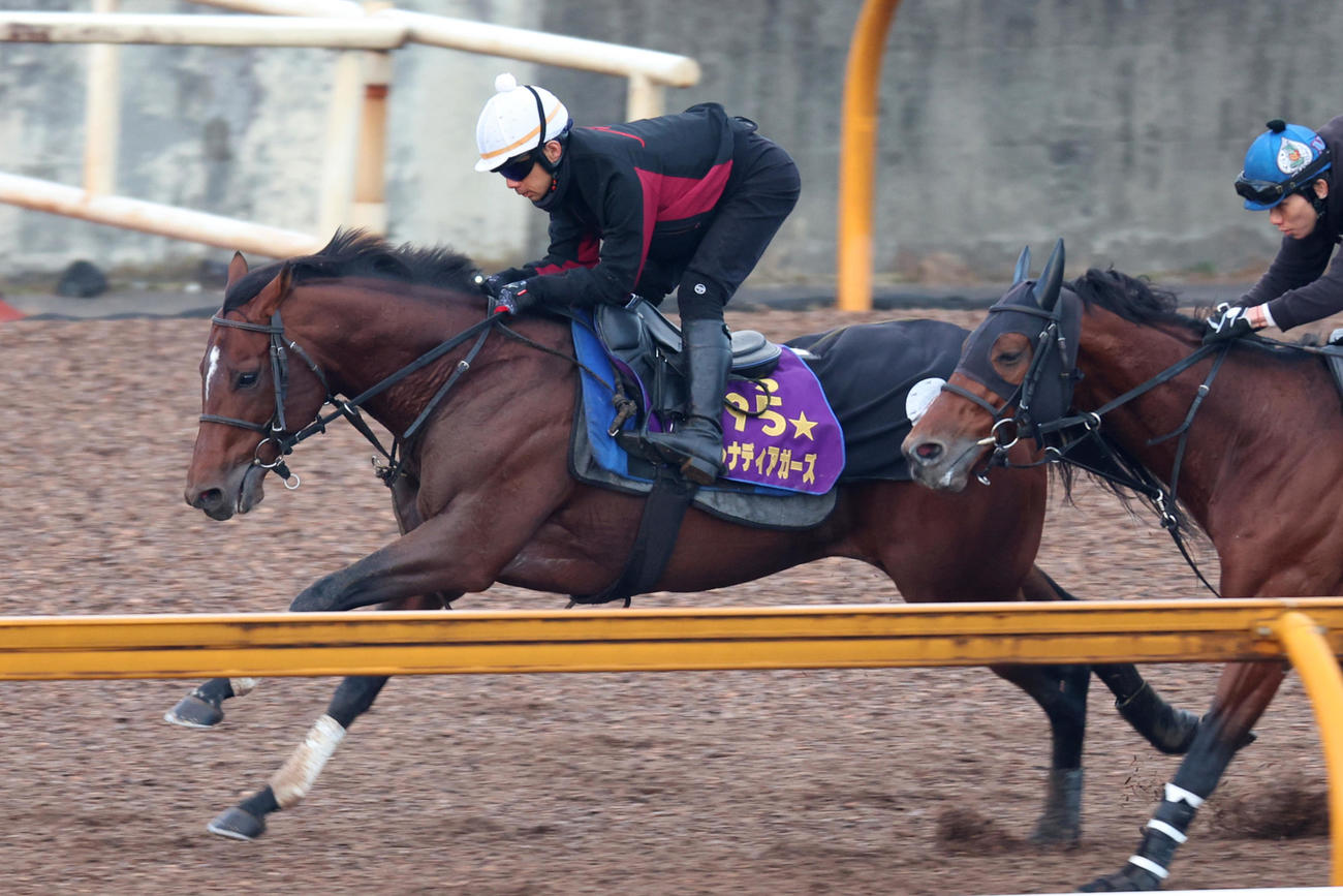 併せ馬に先着するグレナディアガーズ（左）