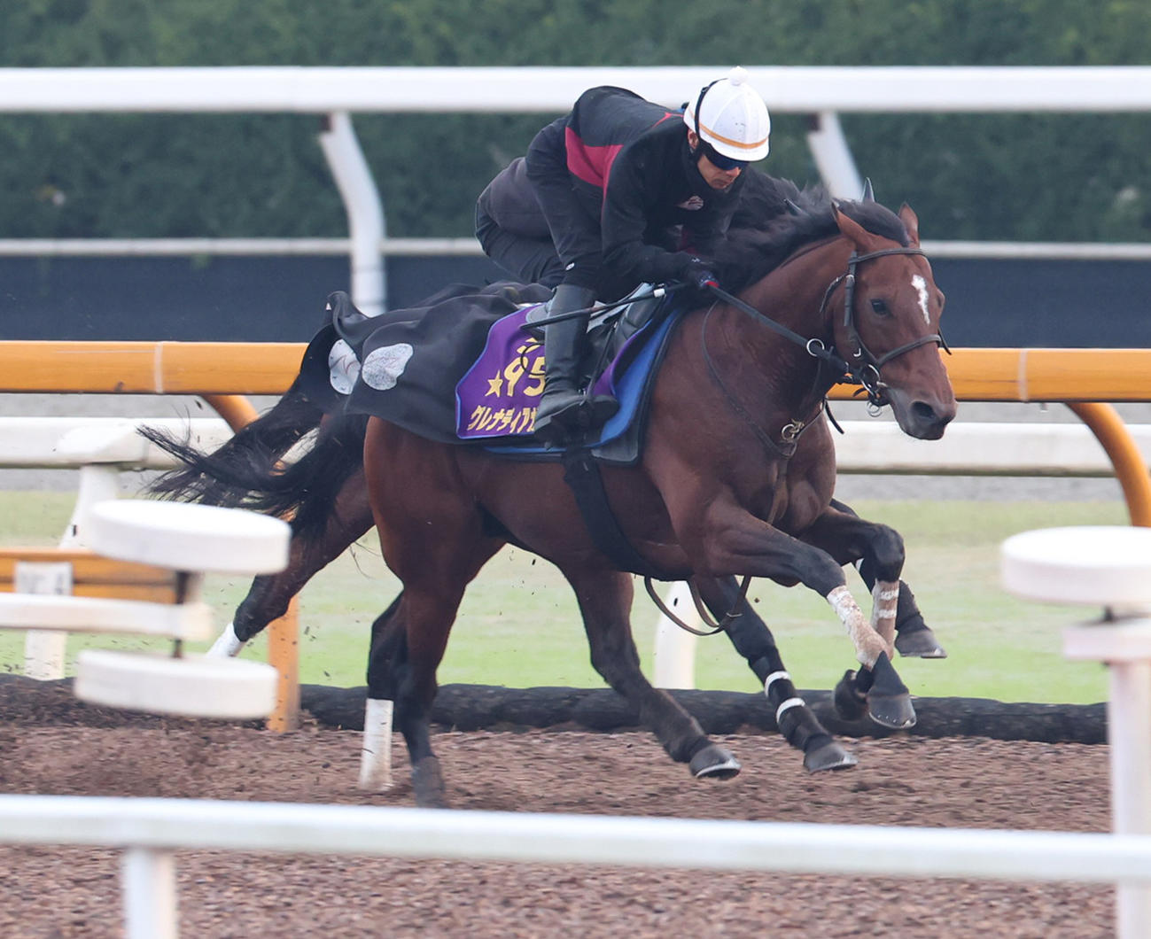 Cウッドコースにて併せ馬で追い切るグレナディアガーズ
