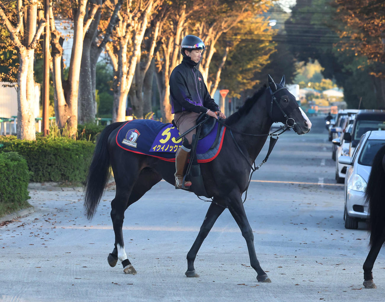 馬場へ向かうイクイノックス（撮影・丹羽敏通）