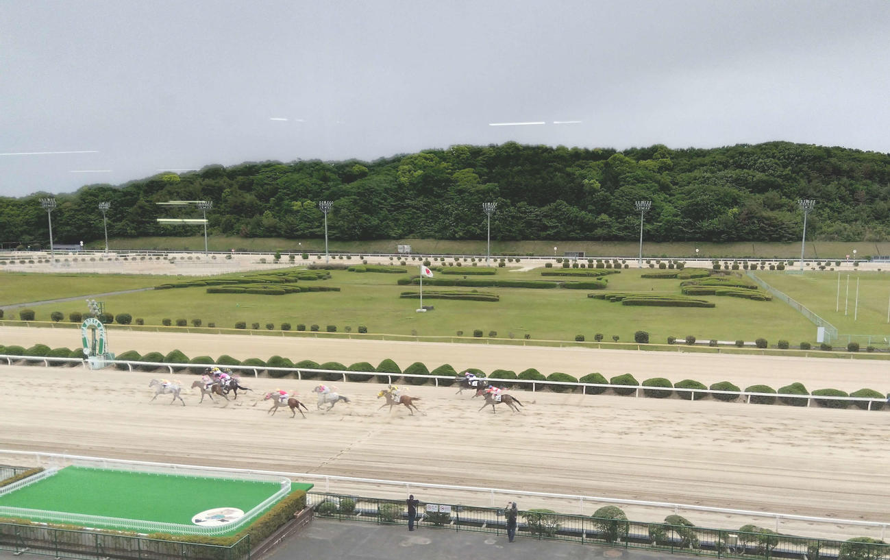 佐賀競馬場