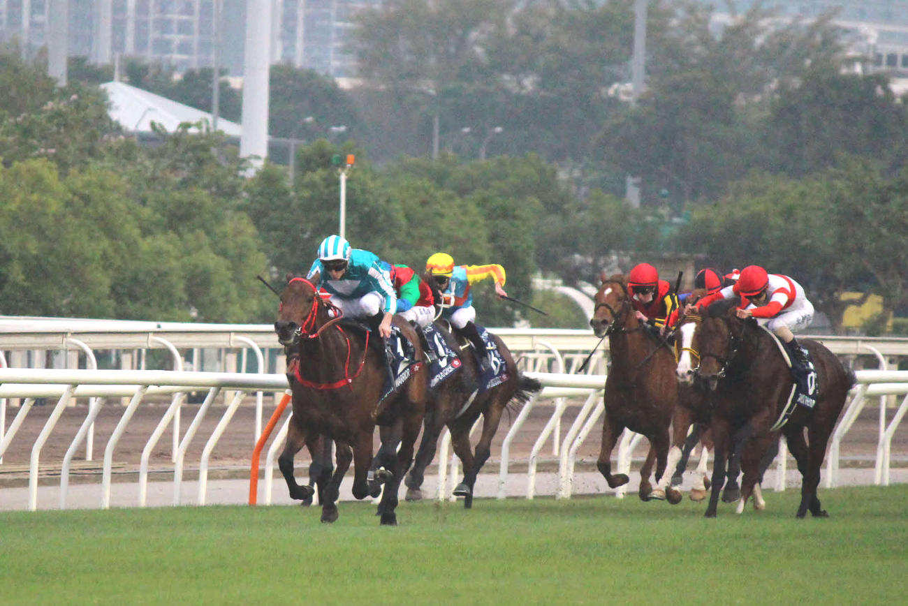 昨年の香港カップを圧勝したロマンチックウォリアー（撮影・木南友輔）